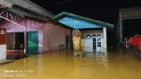 Berikut Data Korban Terdampak Banjir Bandang Boalemo-Gorontalo