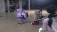 Beredar Rekaman Minta Tolong, Balita Terjebak Banjir di Boalemo