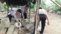 Polsek Dulupi Bongkar 6 Lokasi Penyulingan Cap Tikus