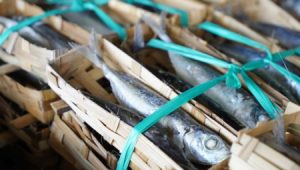 Ikan Pindang Solusi Kemiskinan dan Stunting