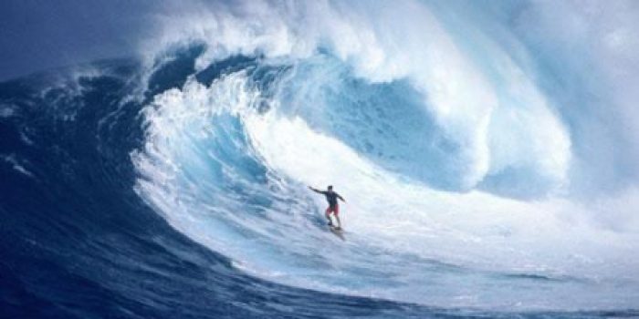 Menata Warisan Langka Alas Purwo