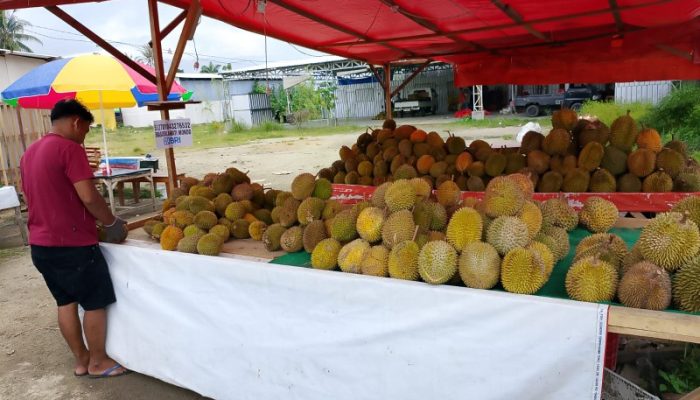 Durian Pak Rio Laris Manis di Kota Gorontalo, Raup Untung Hingga Jutaan