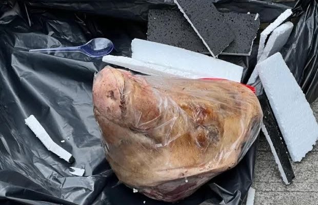 Kantor Tempo Diteror Kepala Babi, Berikut Faktanya