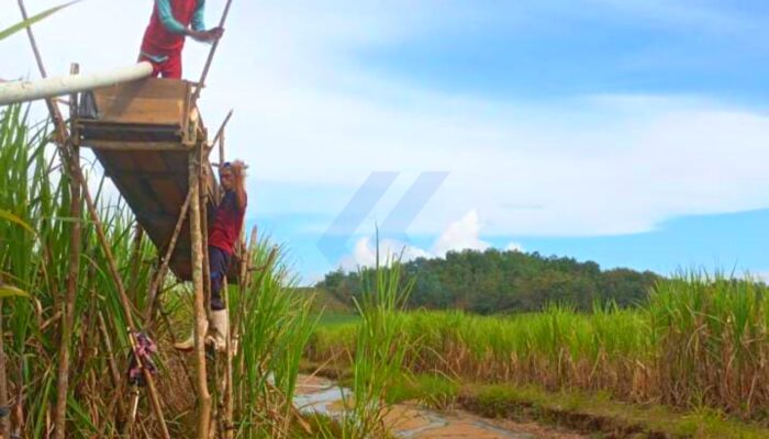 Alur Sungai Bukan HGU, Penambang : Ketua LMA Gorontalo Jangan Asbun