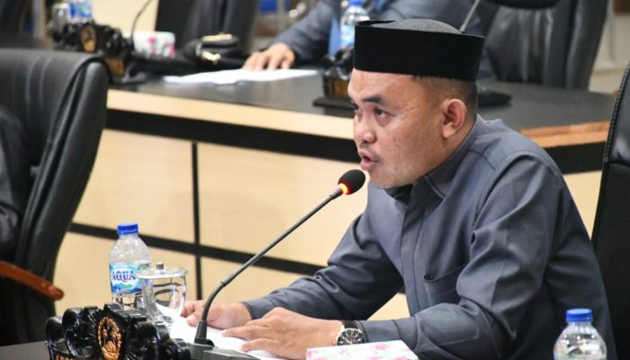 Aspirasi Infrastruktur dan Kelistrikan Disuarakan Fraksi Demokrat